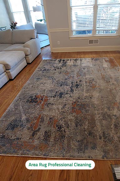 Area Rug Cleaning