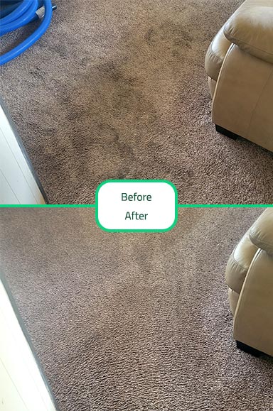 Carpet Cleaning