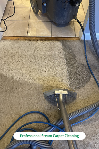 Tulip Carpet Cleaning of Hoboken - Blog articles