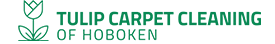 hobokencarpetcleaning.com